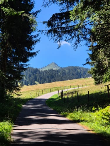 Zum Waldspielplatz im Großen Wald