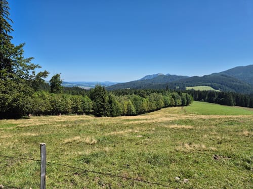 Zum Waldspielplatz im Großen Wald