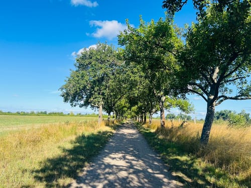 Berlin Barnimer Dörferweg: Etappe 1