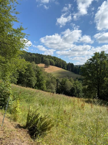 Rundweg um ein Rhöner Dorf