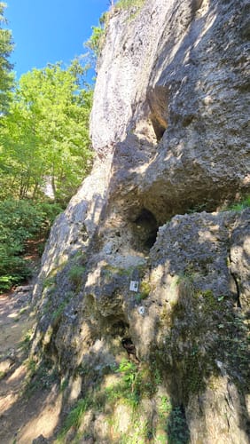 Lions-Weg