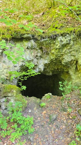 Lions-Weg