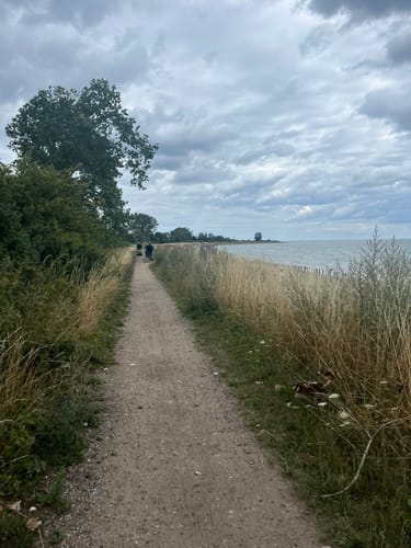 Rundtour Kellenhusen: Zum Leuchtturm Dahmeshöved und nach Dahme