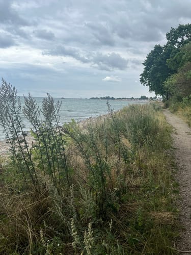 Rundtour Kellenhusen: Zum Leuchtturm Dahmeshöved und nach Dahme