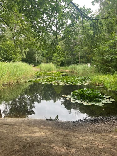 Rundtour Kellenhusen: Zum Leuchtturm Dahmeshöved und nach Dahme