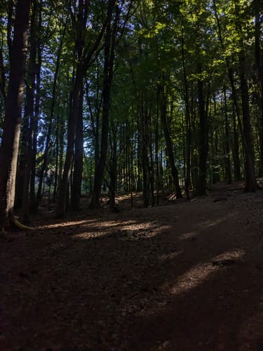 Dollbergschleife (Traumschleife)