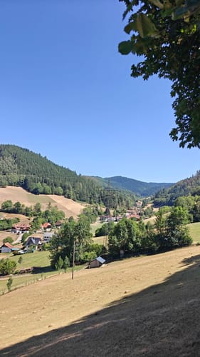 Kirnbach-Winter Rundweg