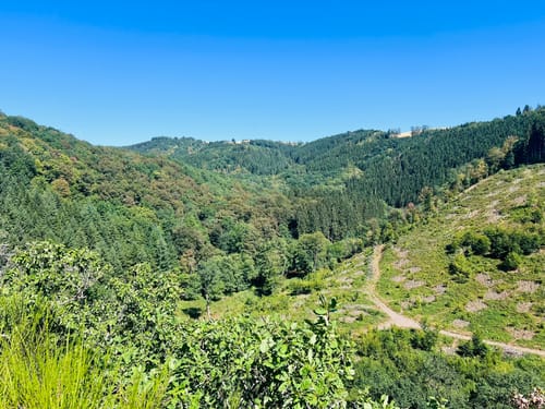 Fischbach Wanderung