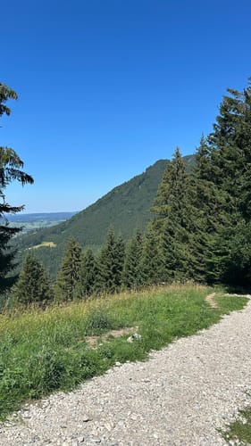 Auf die Buchenbergalm