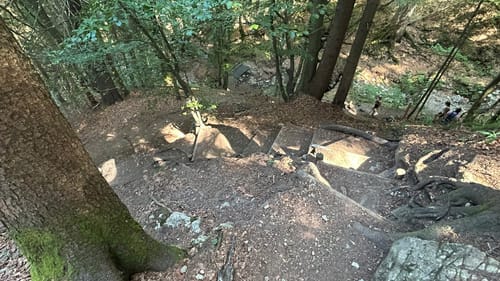 Auf die Buchenbergalm
