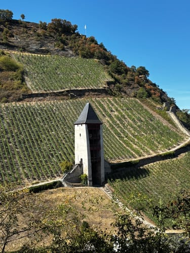 Weinwanderweg Bacharach