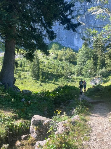 Benediktenwand ab Jachenau