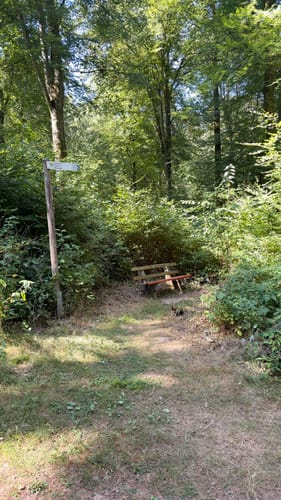 Römerpfad (Premiumwanderweg)
