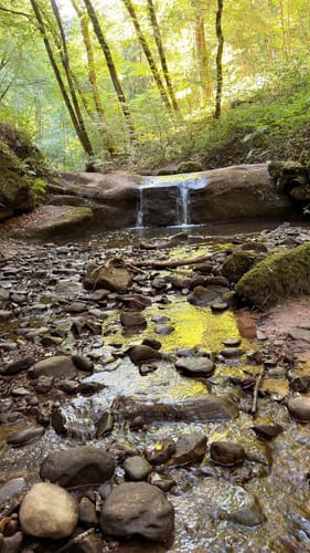 Römerpfad (Premiumwanderweg)