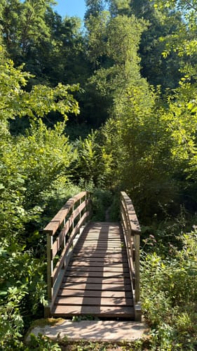 Römerpfad (Premiumwanderweg)
