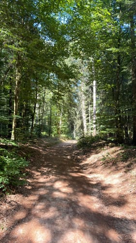 Römerpfad (Premiumwanderweg)