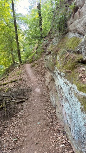 Römerpfad (Premiumwanderweg)