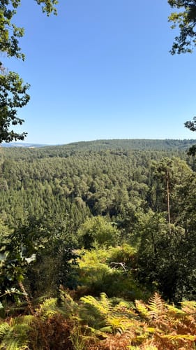 Römerpfad (Premiumwanderweg)