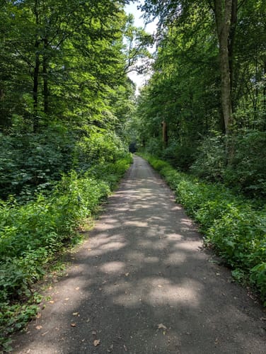 Kleine Runde im Hasbruch
