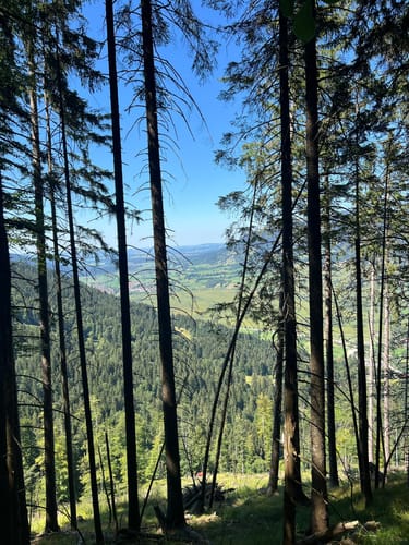 Kolbensattelhütte