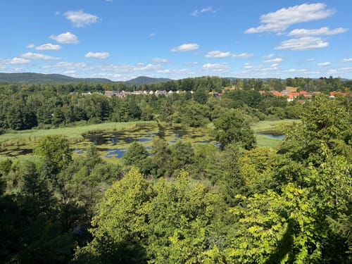 Von Walkenried zur Burg Sachsenstein