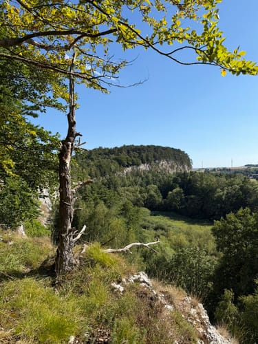 Von Walkenried zur Burg Sachsenstein