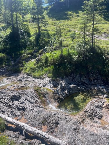 Benediktenwand ab Jachenau