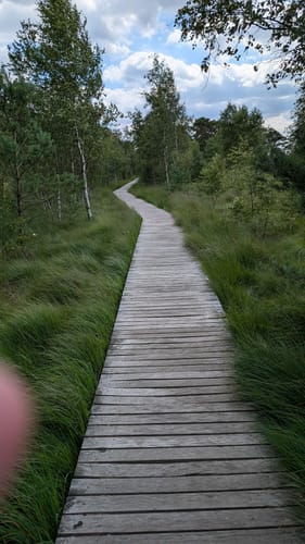 Moorrundweg Pietzmoor