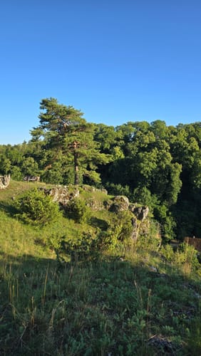 Lions-Weg