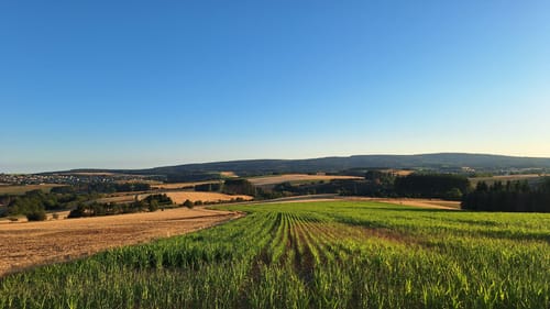 Hochwald Acht (Traumschleife)