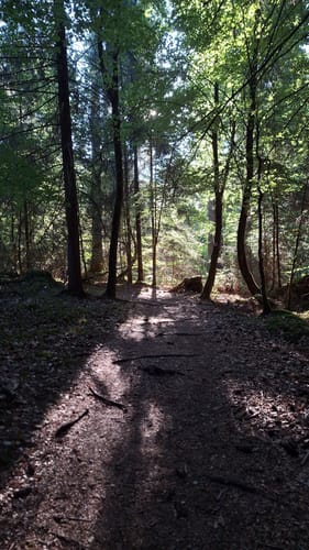 Hochwald Acht (Traumschleife)