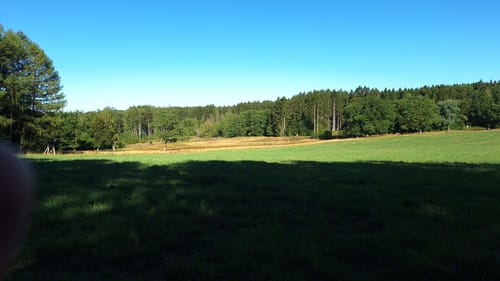 Hochwald Acht (Traumschleife)