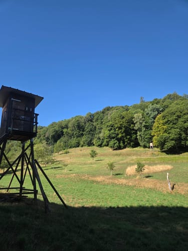 Zur Mariensäule und ins Busental