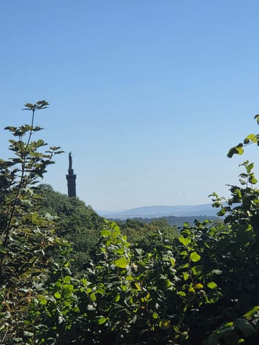Zur Mariensäule und ins Busental