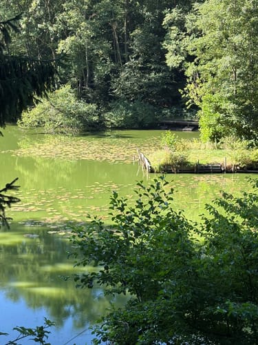 Entlang der Bleischmelze und zum Kaiserhammer