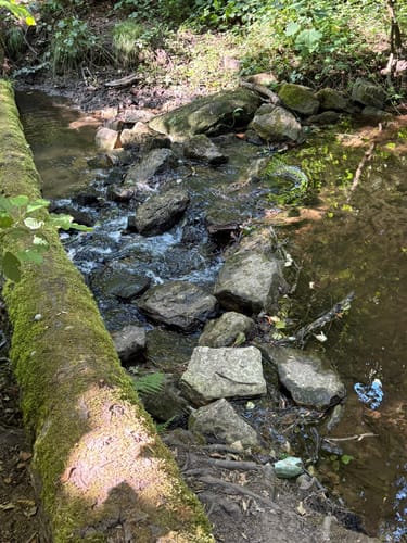 Entlang der Bleischmelze und zum Kaiserhammer