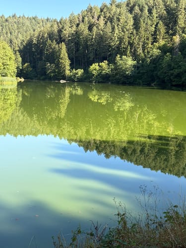 Entlang der Bleischmelze und zum Kaiserhammer
