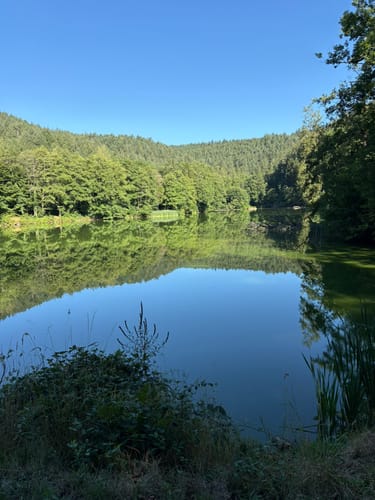 Entlang der Bleischmelze und zum Kaiserhammer
