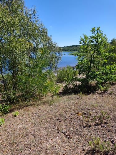 Neuhäuser See