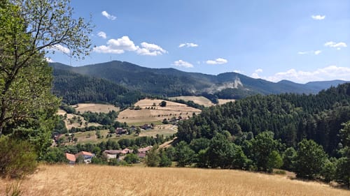 Gutacher Tälersteig (Genießerpfad)
