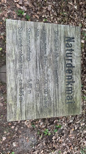 Käflingsberg - Priesterbäcker See