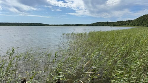 Käflingsberg - Priesterbäcker See