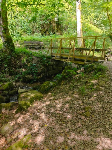 Fischweiher Rundwanderung