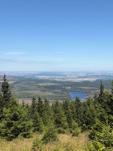 Harzer Grenzweg Etappe 3: Molkenhaus - Brocken