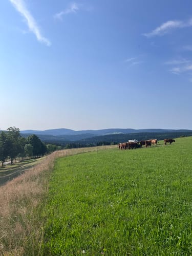 Hammerber Rrunde