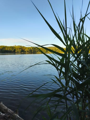 Liblar Ober-, Mittel- und Untersee