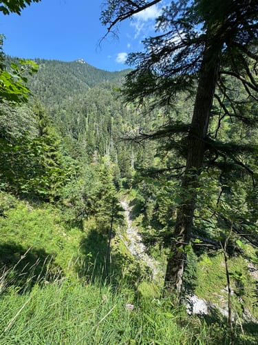 Walchensee-Schlucht