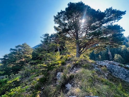 Zur Osterfeuerspitze