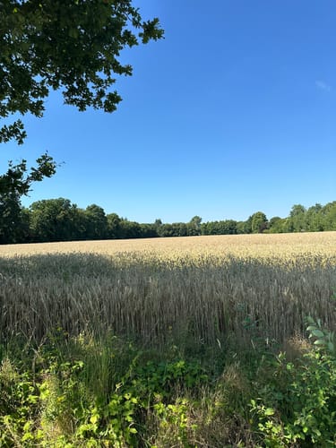 Aurich - Kirchdorf - Westerende-Kirchloog
