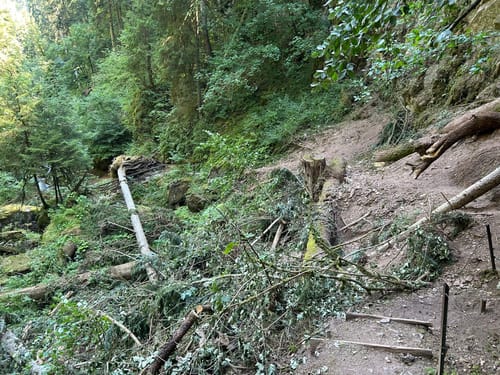 Wutachschlucht Rundweg [CLOSED]